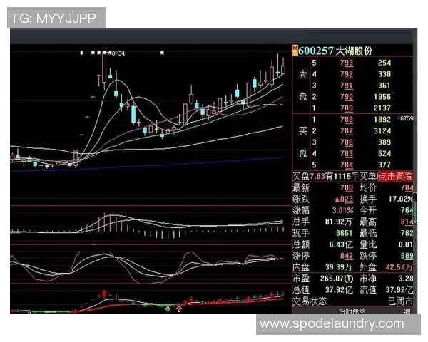 武汉羽毛球队与北京羽毛球队赛后复盘分析比赛节奏与战术对决