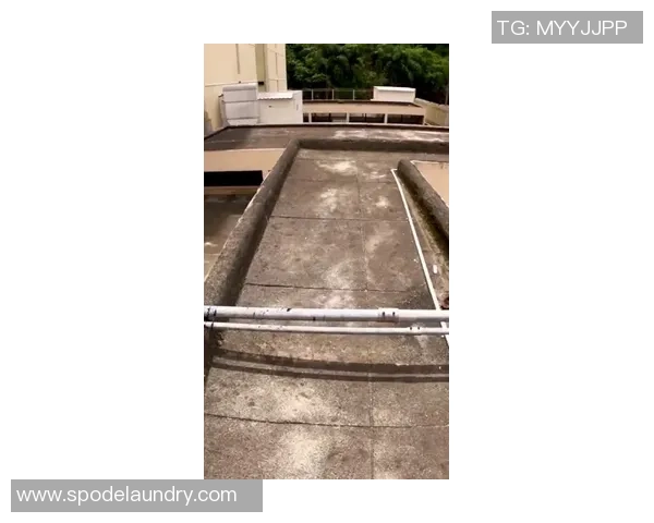 极限运动装备选购：防护垫推荐